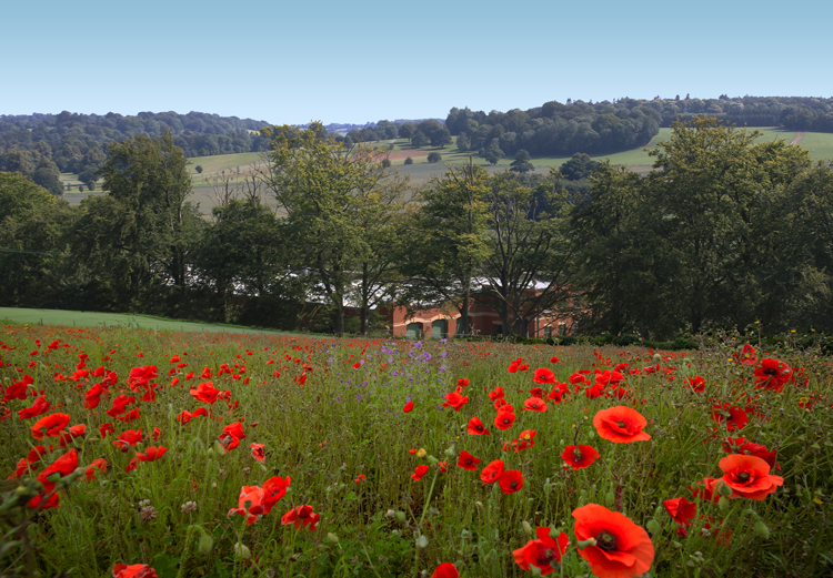 Jali furniture factory in poppy field, Kent